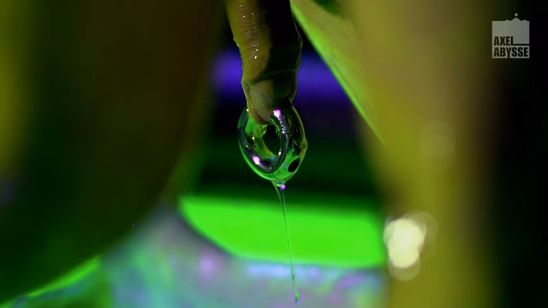 Axel - The Experiment sample image 49