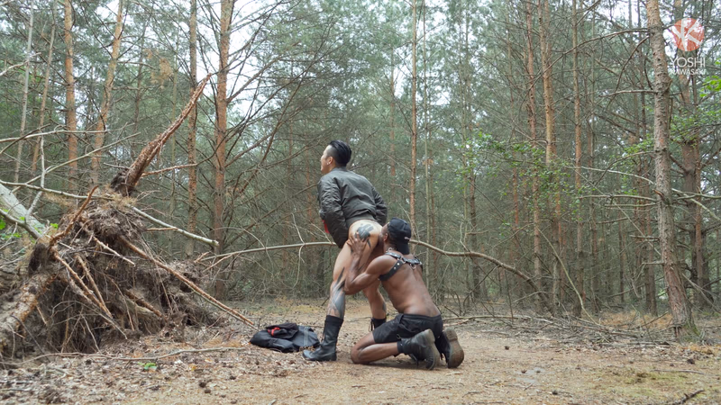 Unknown - 자연의 서식지 sample image 6