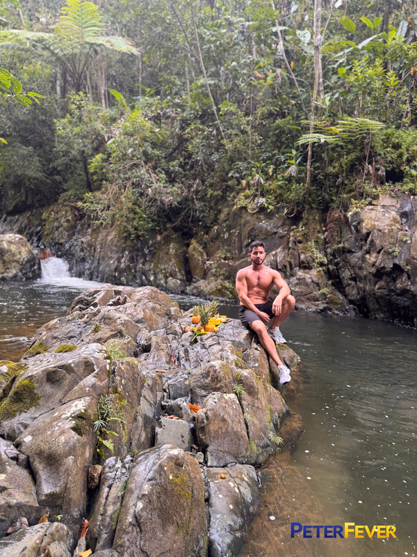 Sam Vu - Lost In Puerto Rico 1-Forest of Temptation sample image 9