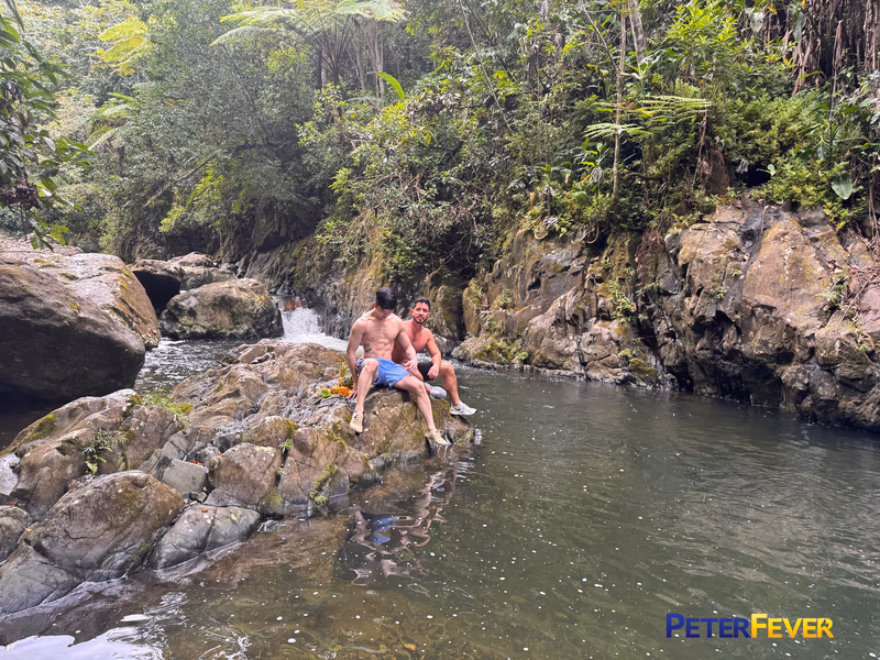 Sam Vu - Lost In Puerto Rico 1-Forest of Temptation sample image 22