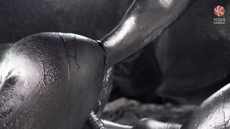 Shusaku - Ag sample image 4