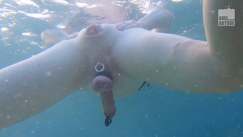 Axel - Freedive sample image 15
