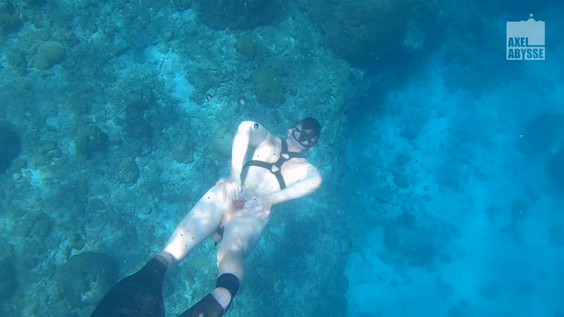 Axel - Freedive sample image 2