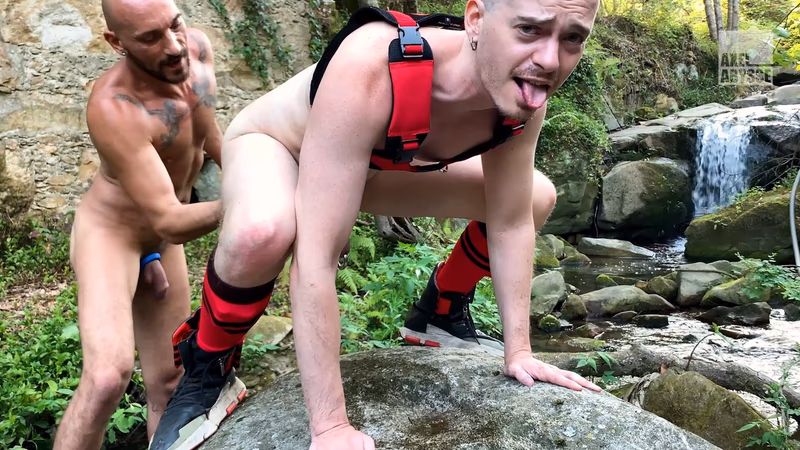 Axel - Wild, Part 2 sample image 22
