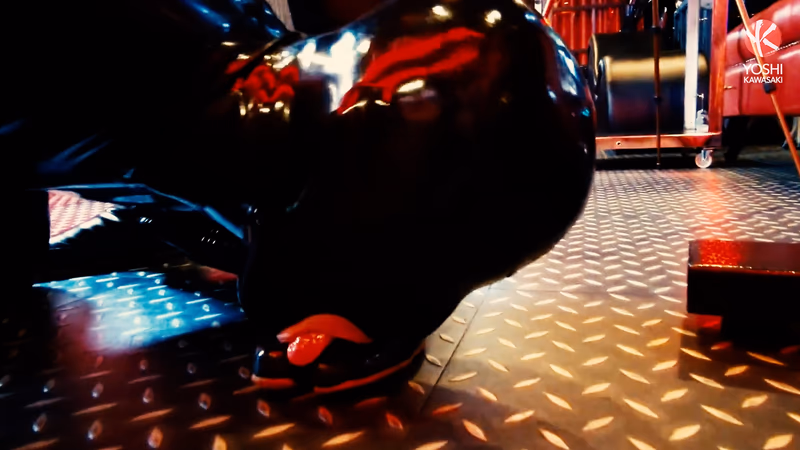 Yoshi - Just FORFUN, Part 1 sample image 8