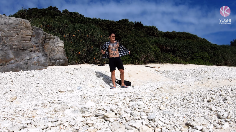 Yoshi - The Coast Is Clear sample image 1