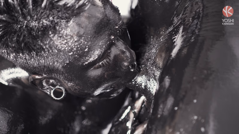 Damian Dragon - Obsidian sample image 6